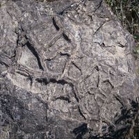 Photo de france - La randonnée de l'ancien refuge sur la colline